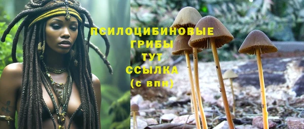 COCAINE Белоозёрский