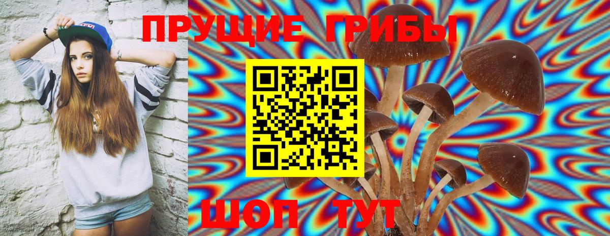 Галлюциногенные грибы мицелий  Галлюциногенные грибы GOLDEN TEACHER  Кувандык  Вход с VPN 