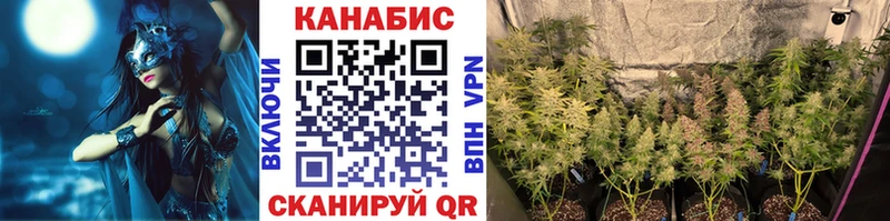 Каннабис ГИДРОПОН  Кувандык 
